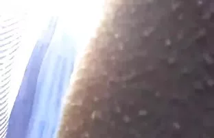 XXX తో Threesome పార్క్ తో ఒక టాటూ అందగత్తె