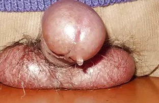 XXX Fucks మరియు licks పూకు రెండు స్నేహితులు వంటగదిలో