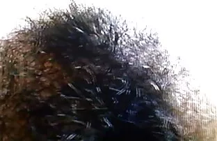 XXX రష్యన్ అందం హస్త ప్రయోగం షవర్ లో